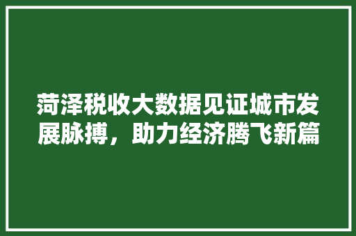 菏泽税收大数据见证城市发展脉搏，助力经济腾飞新篇章