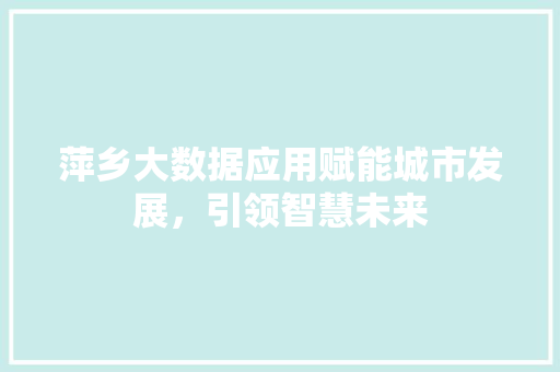 萍乡大数据应用赋能城市发展，引领智慧未来
