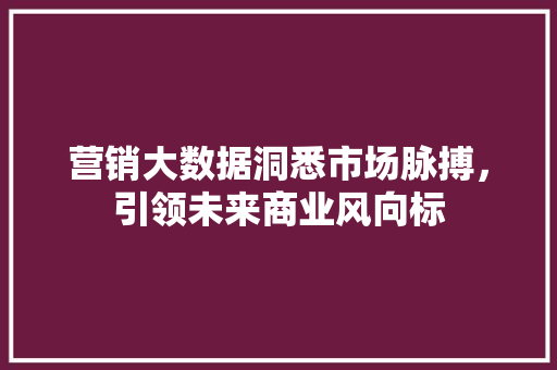 营销大数据洞悉市场脉搏,引领未来商业风向标 营销大数据洞悉市场脉搏,引领未来商业风向标