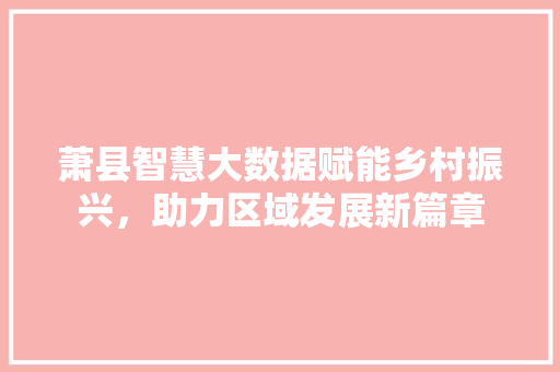 萧县智慧大数据赋能乡村振兴,助力区域发展新篇章 萧县智慧大数据赋能乡村振兴,助力区域发展新篇章