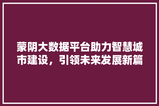 蒙阴大数据平台助力智慧城市建设，引领未来发展新篇章