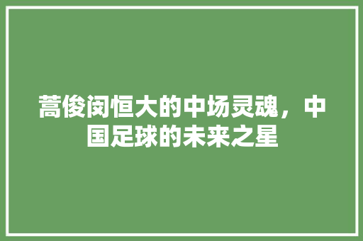 蒿俊闵恒大的中场灵魂，中国足球的未来之星