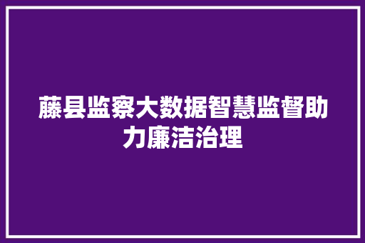 藤县监察大数据智慧监督助力廉洁治理
