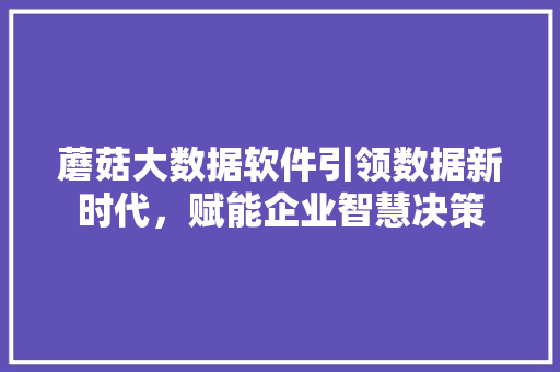 蘑菇大数据软件引领数据新时代，赋能企业智慧决策