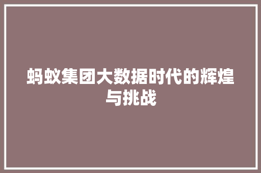蚂蚁集团大数据时代的辉煌与挑战 电脑故障维修