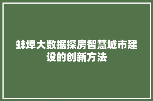 蚌埠大数据探房智慧城市建设的创新方法