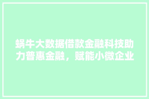蜗牛大数据借款金融科技助力普惠金融，赋能小微企业