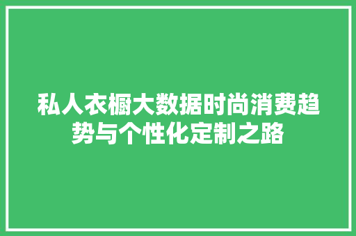 私人衣橱大数据时尚消费趋势与个性化定制之路