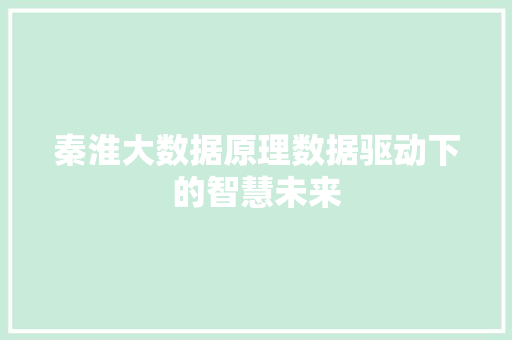 秦淮大数据原理数据驱动下的智慧未来