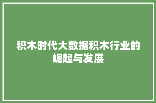 积木时代大数据积木行业的崛起与发展