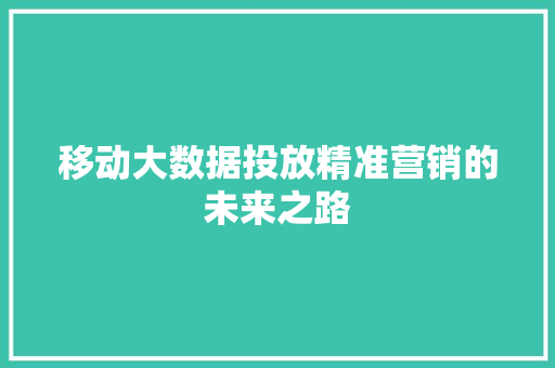 移动大数据投放精准营销的未来之路