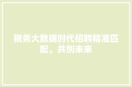 税务大数据时代招聘精准匹配，共创未来