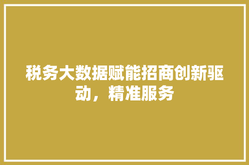 税务大数据赋能招商创新驱动，精准服务