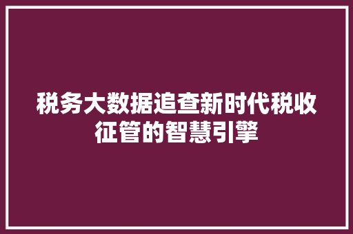 税务大数据追查新时代税收征管的智慧引擎