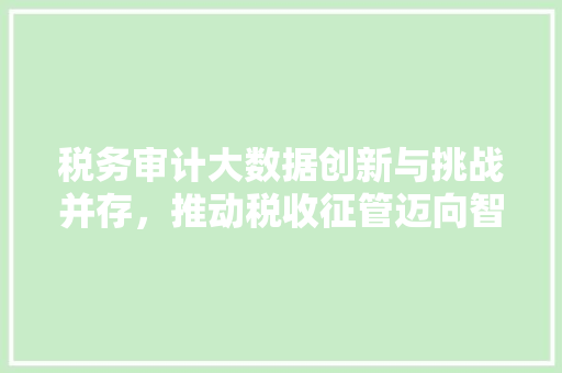 税务审计大数据创新与挑战并存，推动税收征管迈向智能化