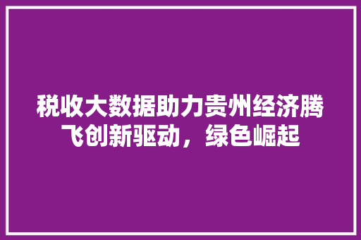 税收大数据助力贵州经济腾飞创新驱动，绿色崛起