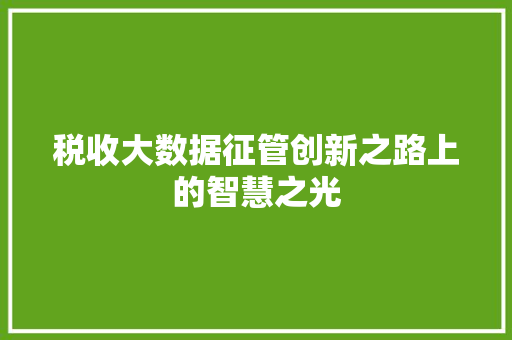 税收大数据征管创新之路上的智慧之光