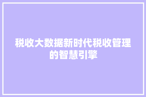 税收大数据新时代税收管理的智慧引擎