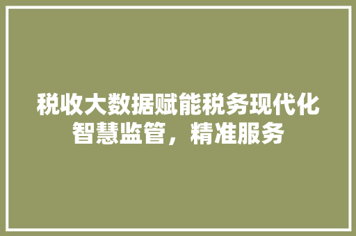 税收大数据赋能税务现代化智慧监管，精准服务