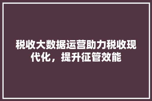税收大数据运营助力税收现代化，提升征管效能