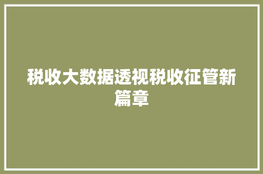 税收大数据透视税收征管新篇章