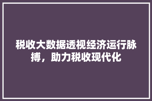 税收大数据透视经济运行脉搏，助力税收现代化
