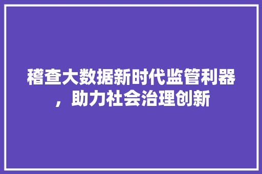 稽查大数据新时代监管利器，助力社会治理创新