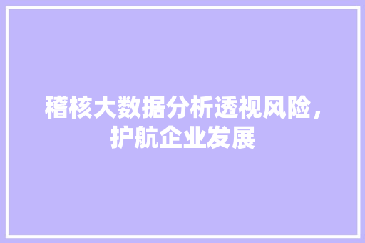 稽核大数据分析透视风险，护航企业发展