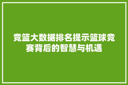 竞篮大数据排名提示篮球竞赛背后的智慧与机遇