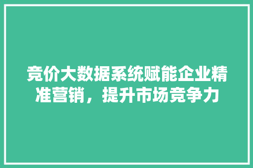 竞价大数据系统赋能企业精准营销，提升市场竞争力