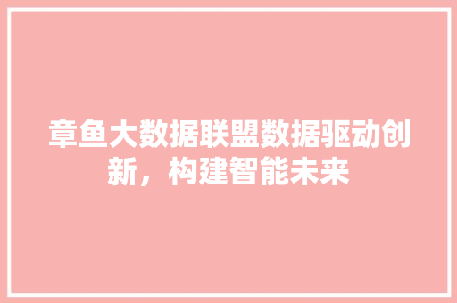 章鱼大数据联盟数据驱动创新，构建智能未来