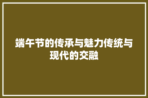 端午节的传承与魅力传统与现代的交融
