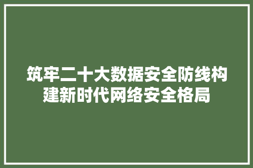 筑牢二十大数据安全防线构建新时代网络安全格局
