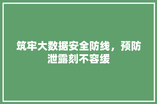 筑牢大数据安全防线，预防泄露刻不容缓