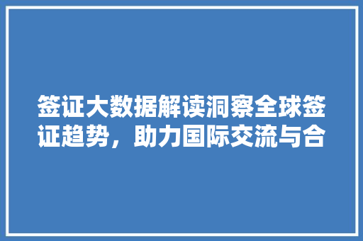 签证大数据解读洞察全球签证趋势，助力国际交流与合作