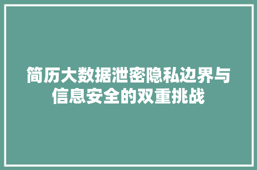 简历大数据泄密隐私边界与信息安全的双重挑战