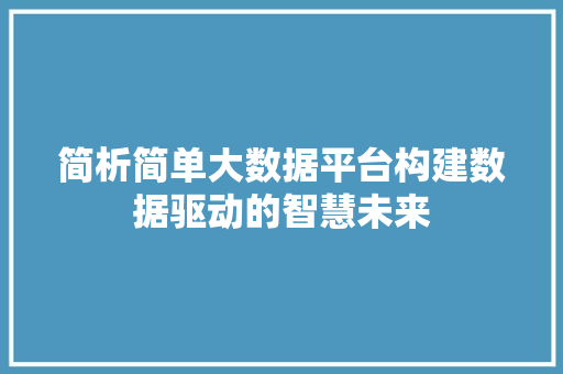 简析简单大数据平台构建数据驱动的智慧未来