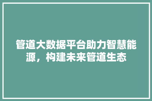 管道大数据平台助力智慧能源，构建未来管道生态