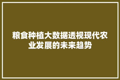 粮食种植大数据透视现代农业发展的未来趋势