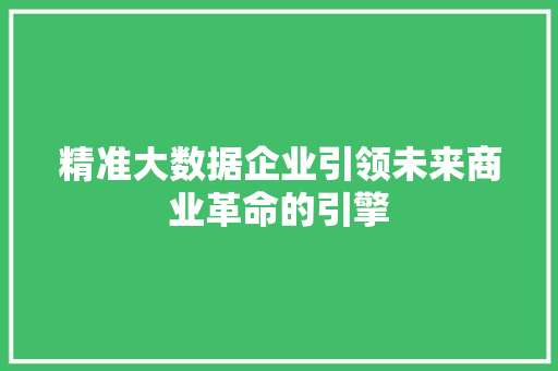 精准大数据企业引领未来商业革命的引擎