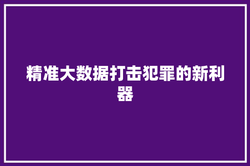 精准大数据打击犯罪的新利器