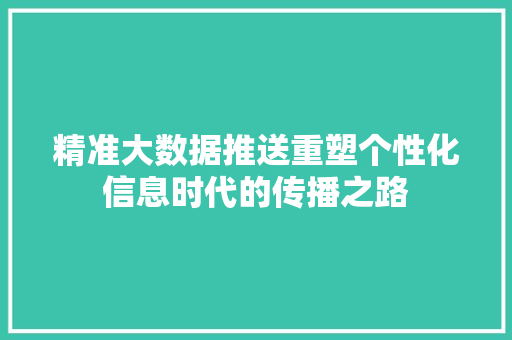 精准大数据推送重塑个性化信息时代的传播之路