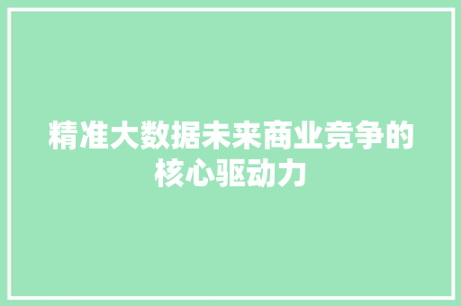 精准大数据未来商业竞争的核心驱动力