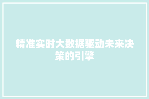精准实时大数据驱动未来决策的引擎