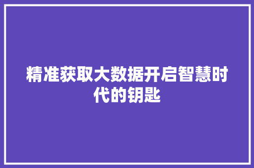精准获取大数据开启智慧时代的钥匙