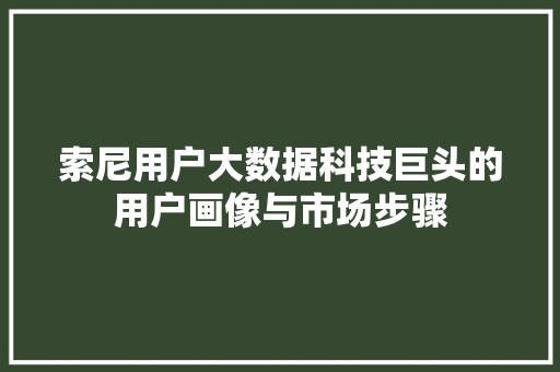 索尼用户大数据科技巨头的用户画像与市场步骤