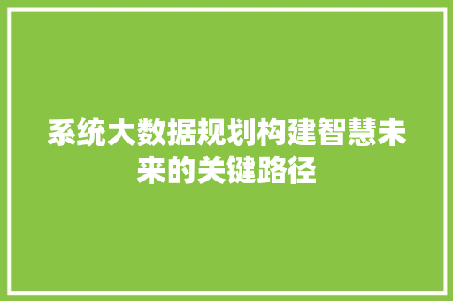 系统大数据规划构建智慧未来的关键路径