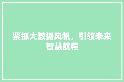 紧抓大数据风帆，引领未来智慧航程