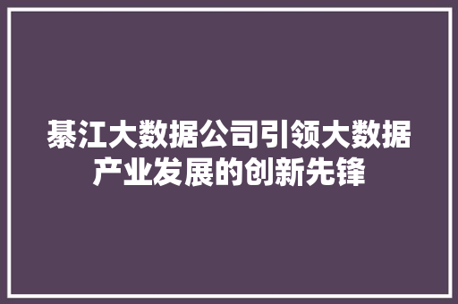綦江大数据公司引领大数据产业发展的创新先锋