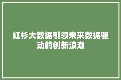红杉大数据引领未来数据驱动的创新浪潮